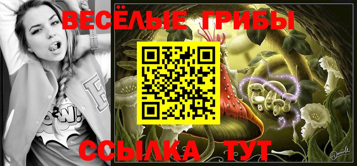 Псилоцибиновые грибы Cubensis Гудермес