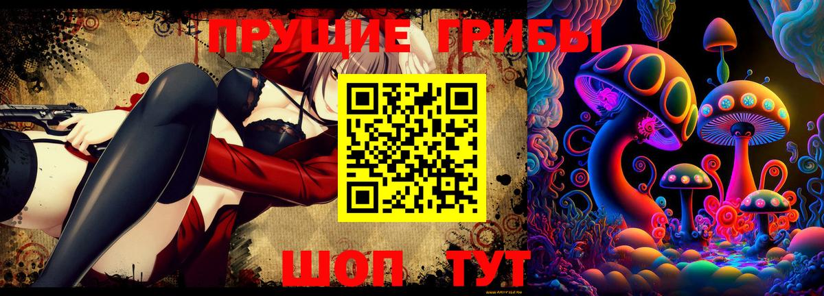 Псилоцибиновые грибы Magic Shrooms  Вход с VPN  Гудермес  Псилоцибиновые грибы Magic Shrooms 